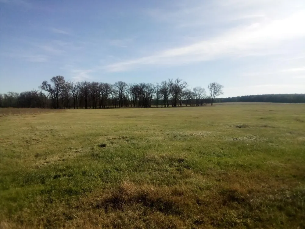 87 County Road 231 Centerville, TX 75833