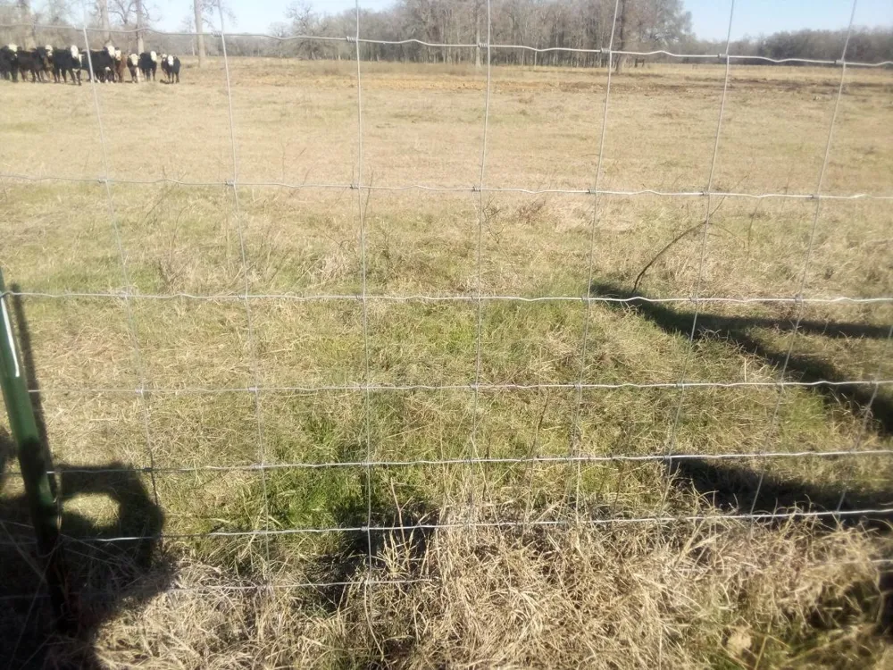 87 County Road 231 Centerville, TX 75833