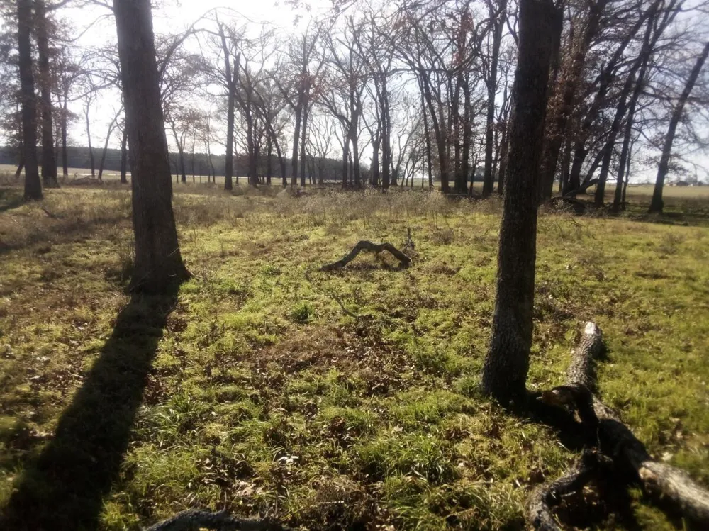 87 County Road 231 Centerville, TX 75833
