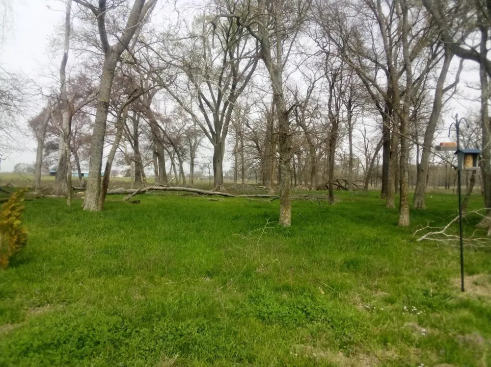 87 County Road 231 Centerville, TX 75833