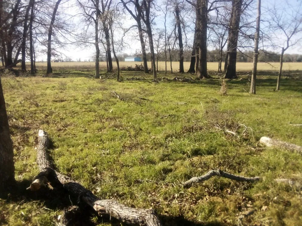 87 County Road 231 Centerville, TX 75833