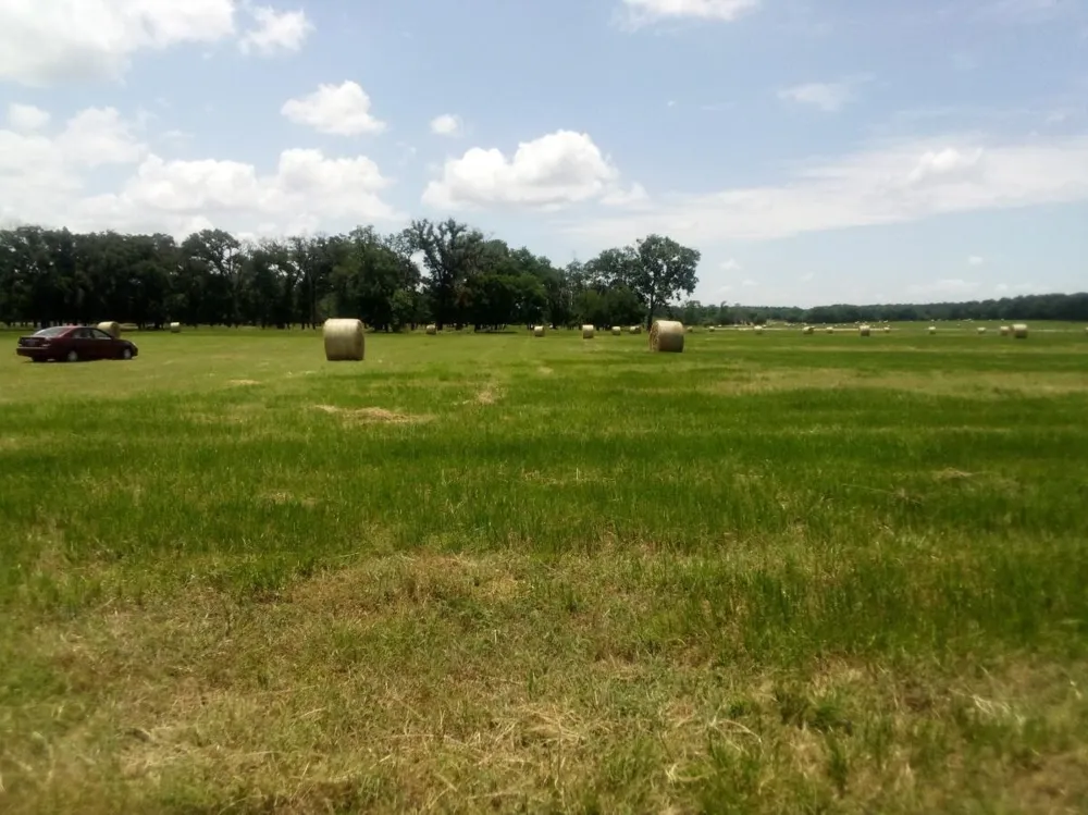 87 County Road 231 Centerville, TX 75833