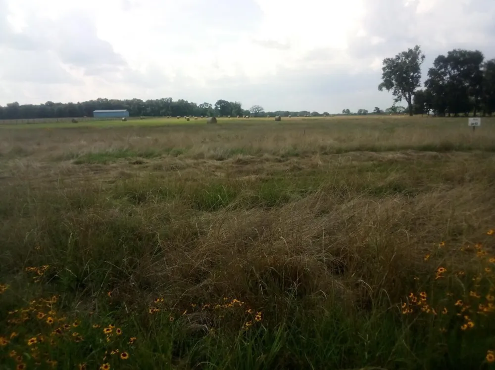 87 County Road 231 Centerville, TX 75833