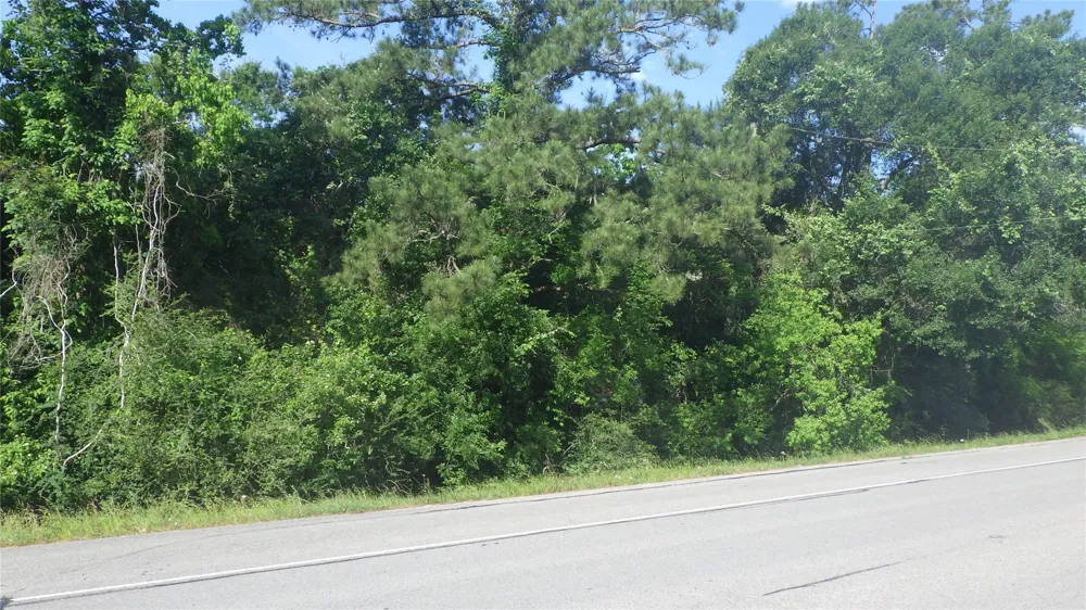 630 Fm 2917 Road Alvin, TX 77511