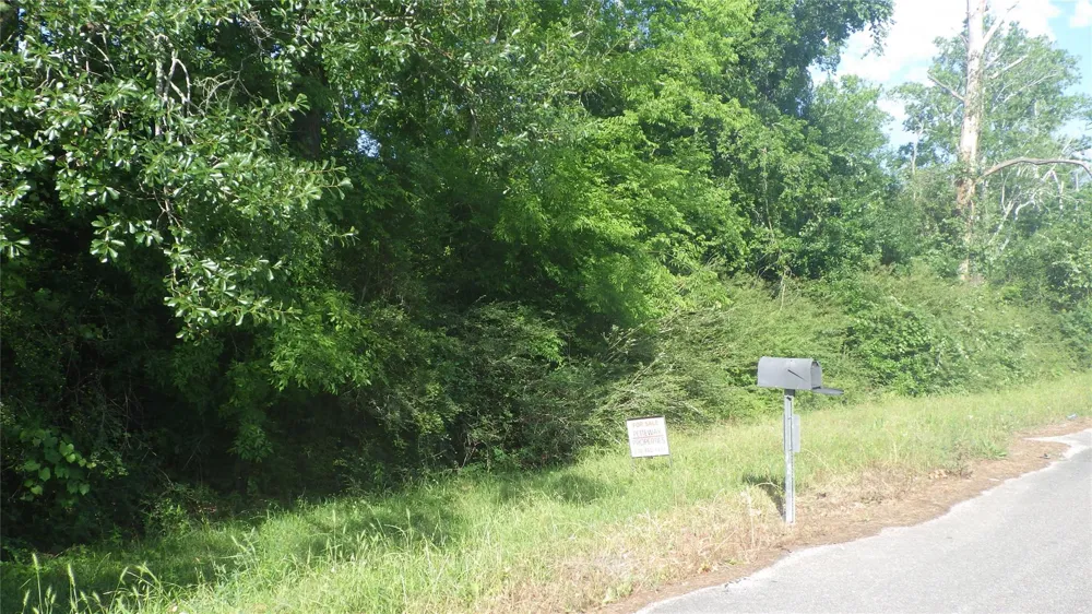 630 Fm 2917 Road Alvin, TX 77511