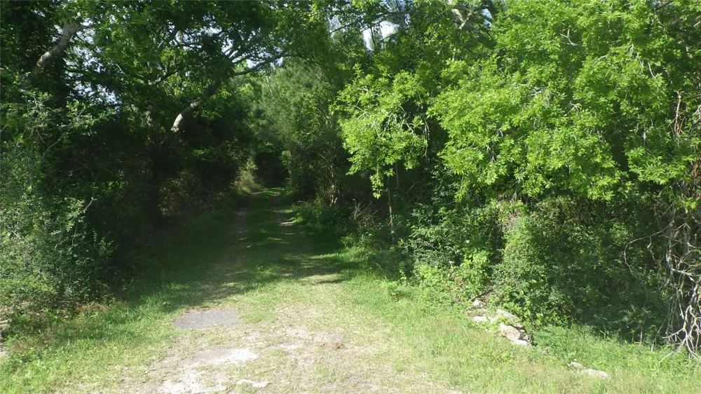 630 Fm 2917 Road Alvin, TX 77511