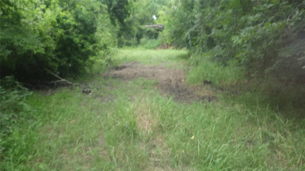 630 Fm 2917 Road Alvin, TX 77511