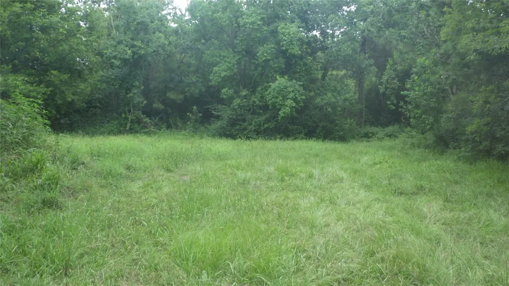 630 Fm 2917 Road Alvin, TX 77511