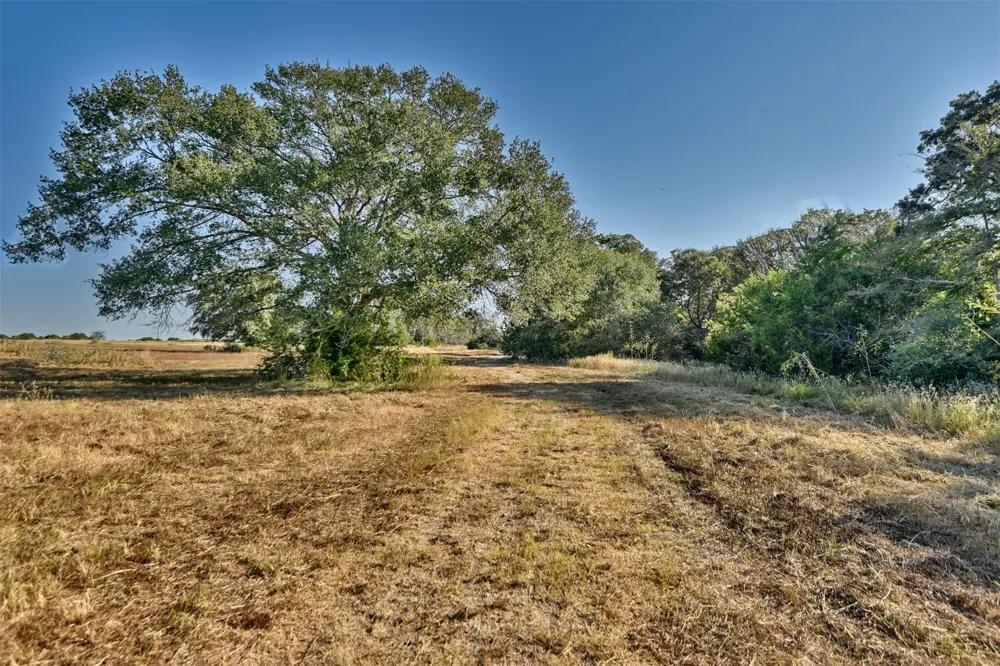 1879 County Road 413 Somerville, TX 77879