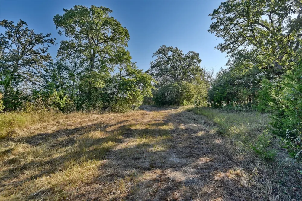 1879 County Road 413 Somerville, TX 77879