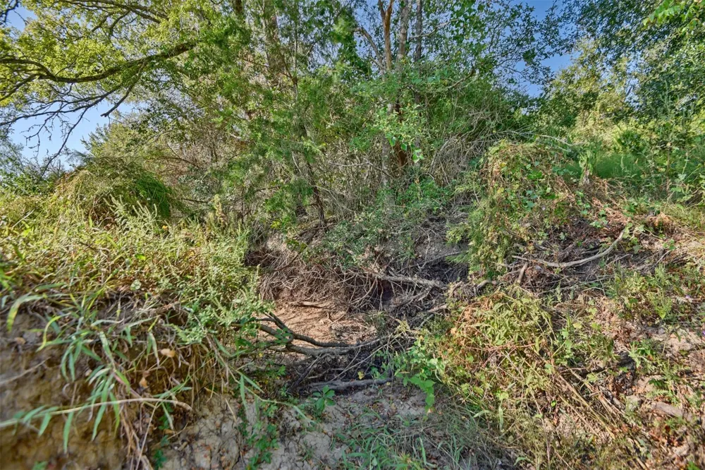 1879 County Road 413 Somerville, TX 77879