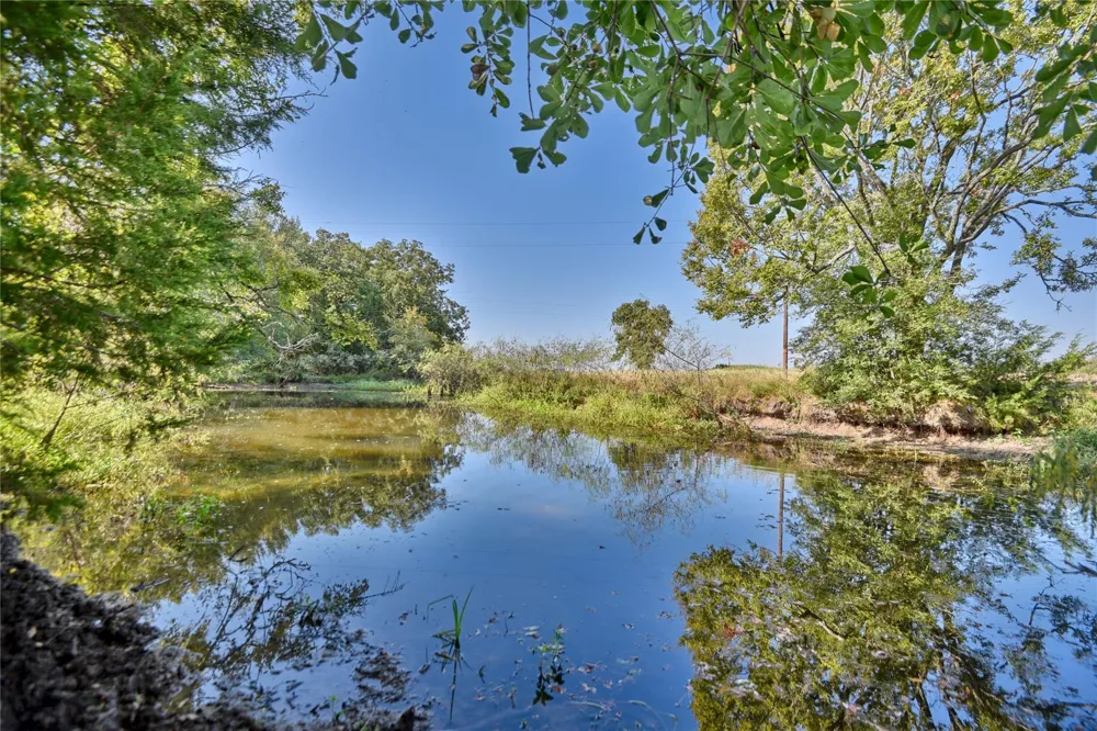 1879 County Road 413 Somerville, TX 77879