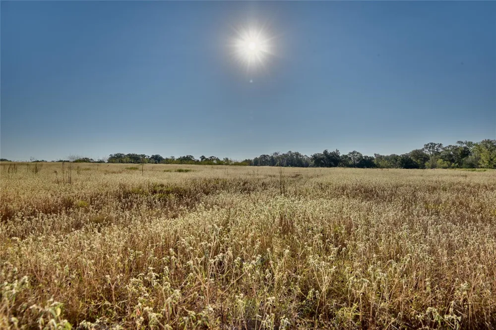1879 County Road 413 Somerville, TX 77879