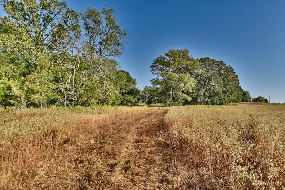 1879 County Road 413 Somerville, TX 77879
