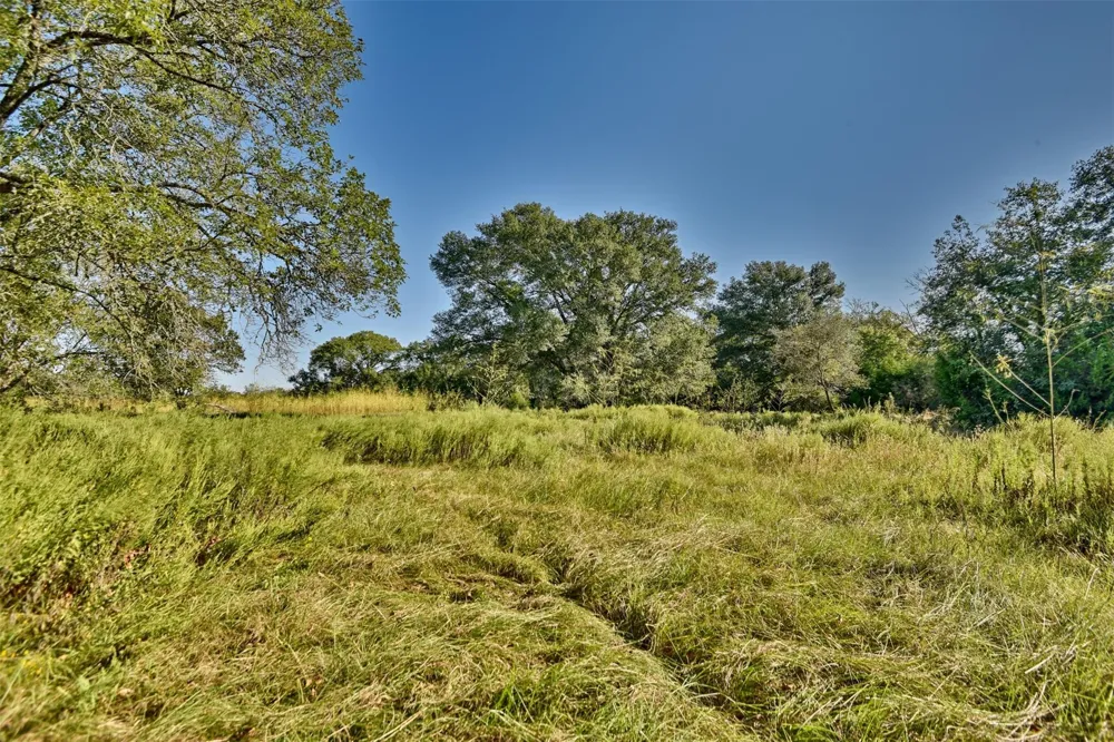 1879 County Road 413 Somerville, TX 77879