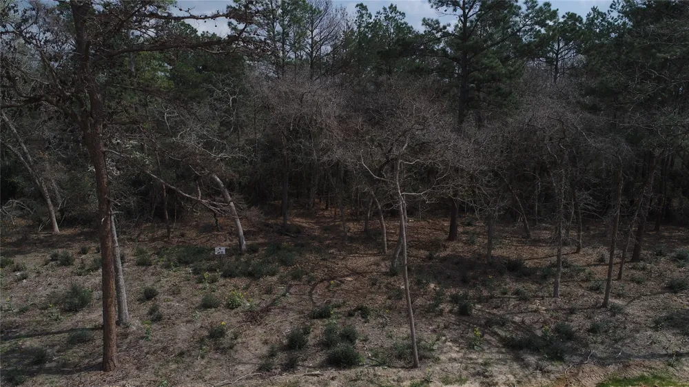 33 Pr 1314 Centerville, TX 75833