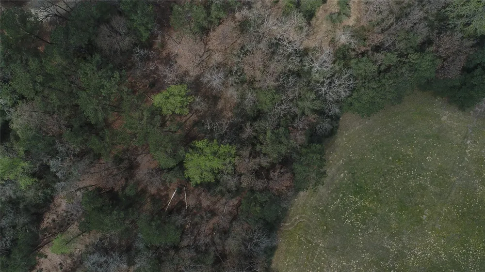 33 Pr 1314 Centerville, TX 75833