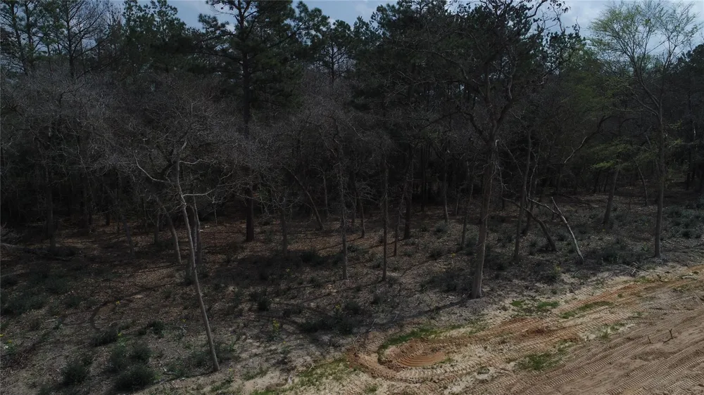 33 Pr 1314 Centerville, TX 75833