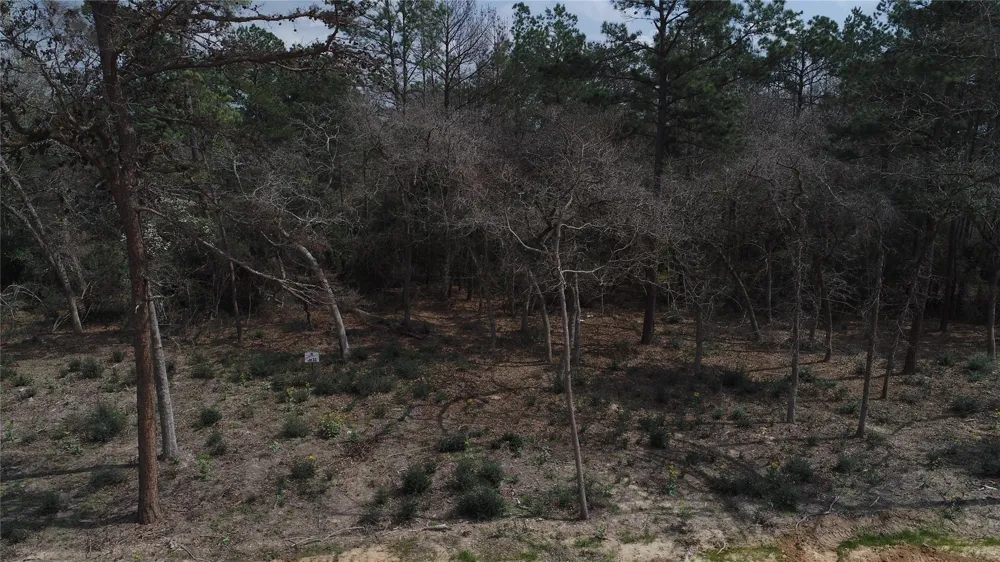 33 Pr 1314 Centerville, TX 75833