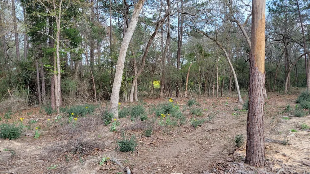 33 Pr 1314 Centerville, TX 75833