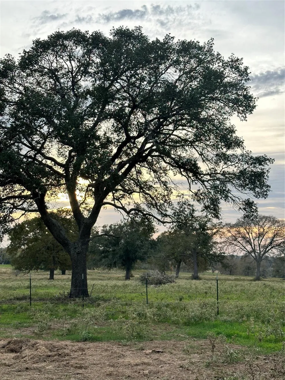 E Us Hwy 90 Waelder, TX 78959
