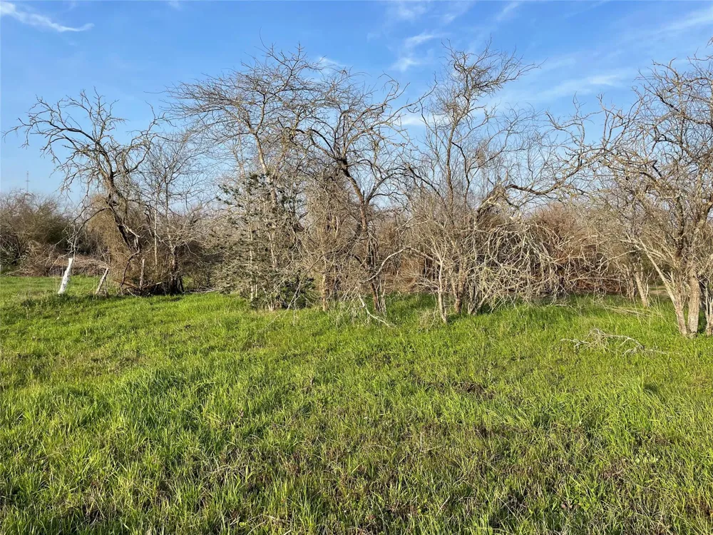 4196 Peters San Felipe Road Sealy, TX 77474