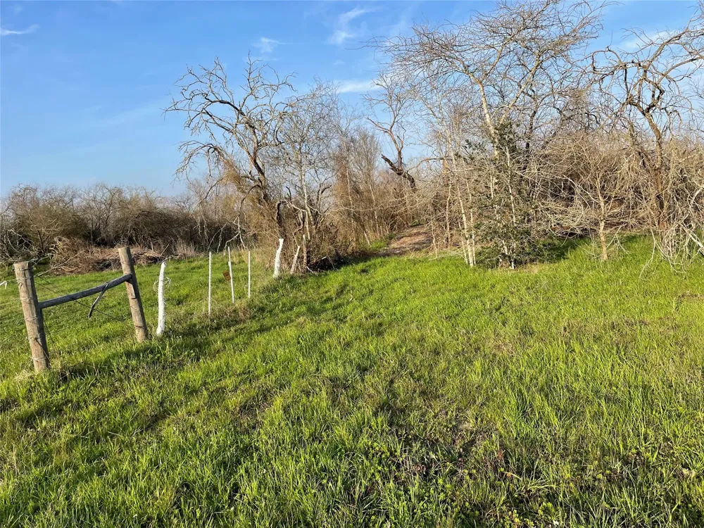 4196 Peters San Felipe Road Sealy, TX 77474