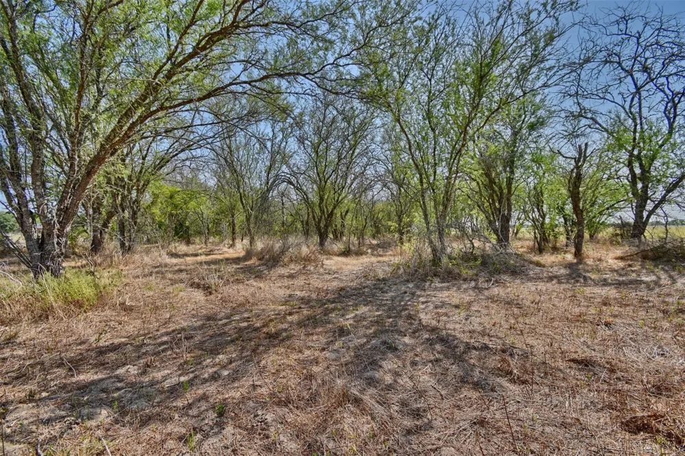 1348 Grubbs Road Sealy, TX 77474