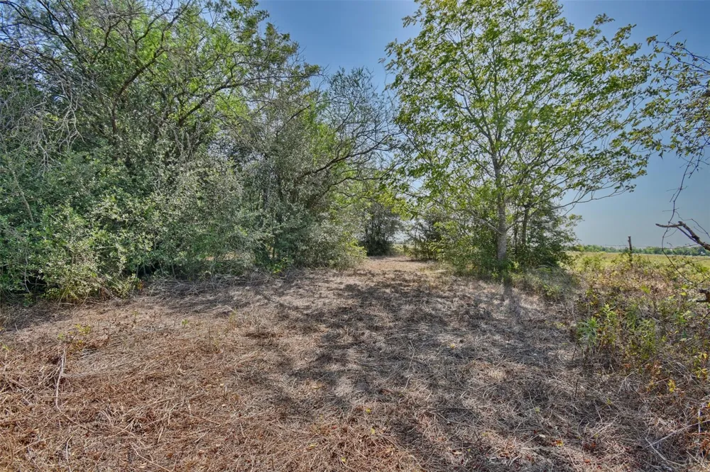 1348 Grubbs Road Sealy, TX 77474