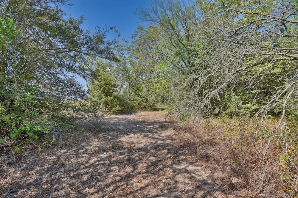 1348 Grubbs Road Sealy, TX 77474