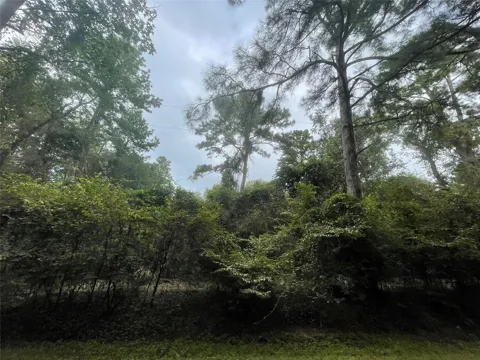 Corolla Road