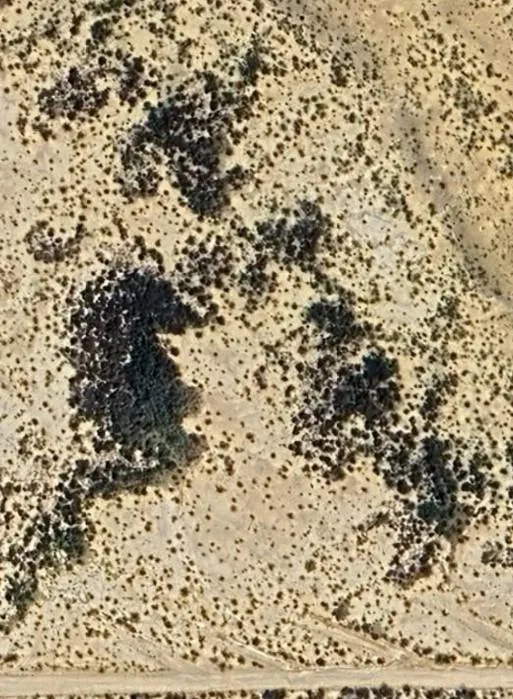 Corzo Avenue Study Butte-Terlingua, TX 79852