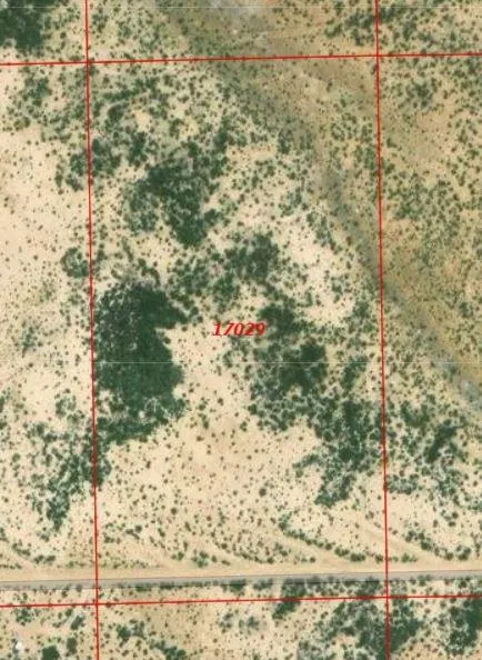 Corzo Avenue Study Butte-Terlingua, TX 79852