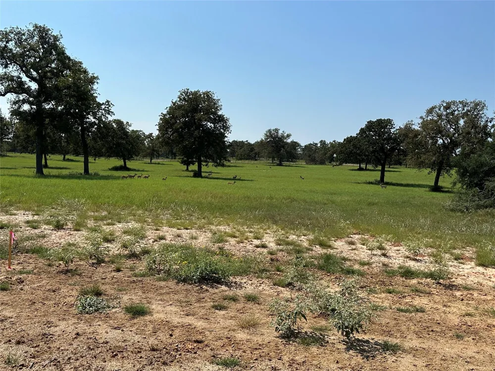 Pr 4173 Marquez, TX 77865