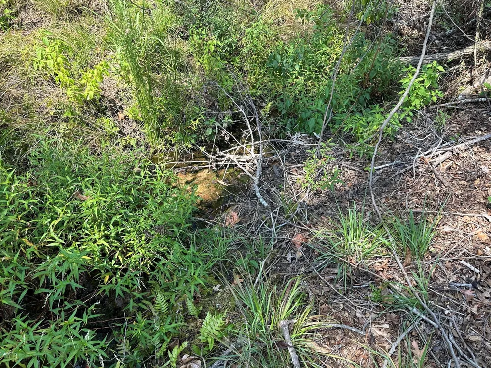 Pr 4173 Marquez, TX 77865