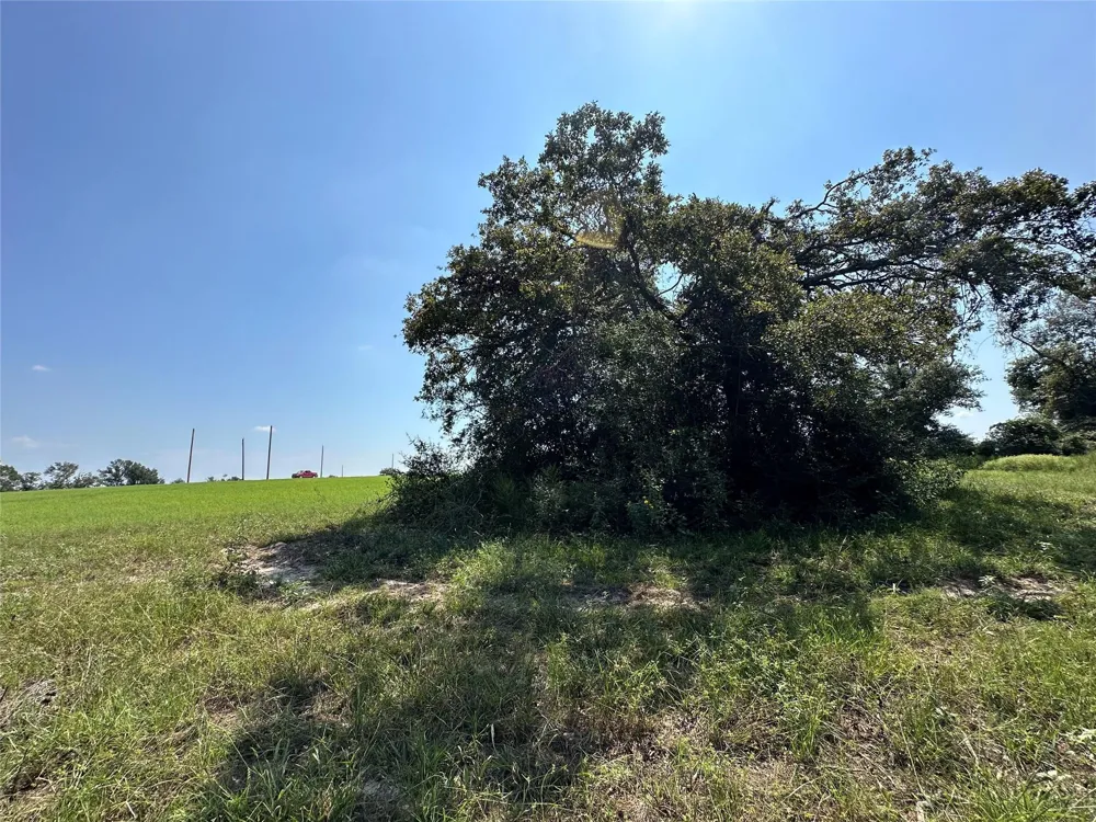 Pr 4173 Marquez, TX 77865