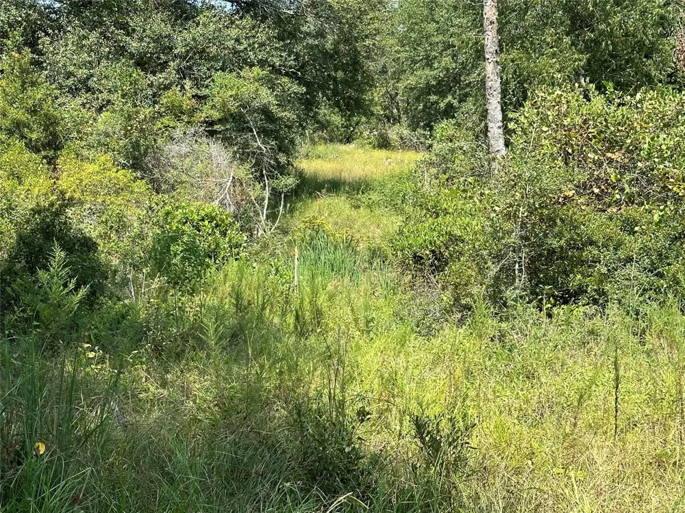 Pr 4173 Marquez, TX 77865