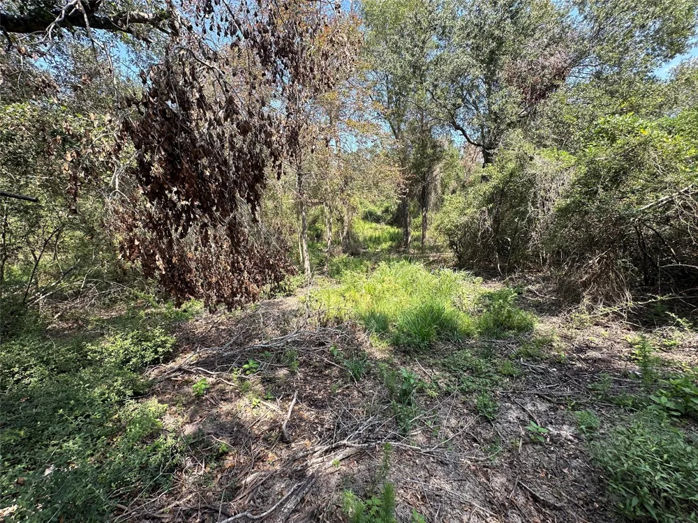Pr 4173 Marquez, TX 77865