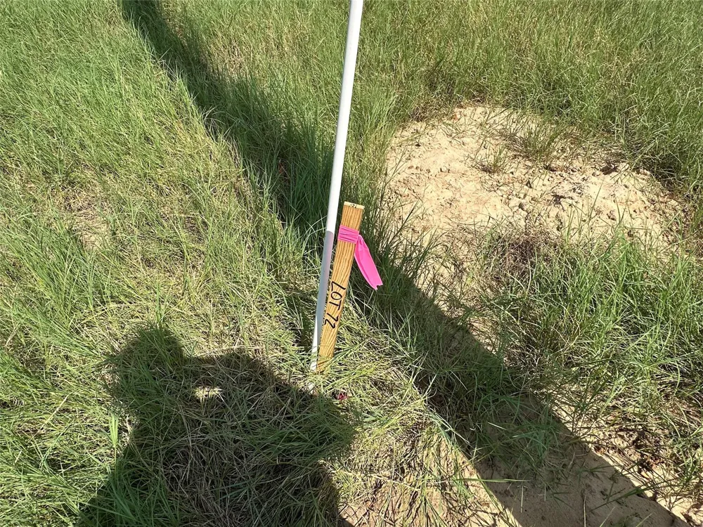 Pr 4173 Marquez, TX 77865