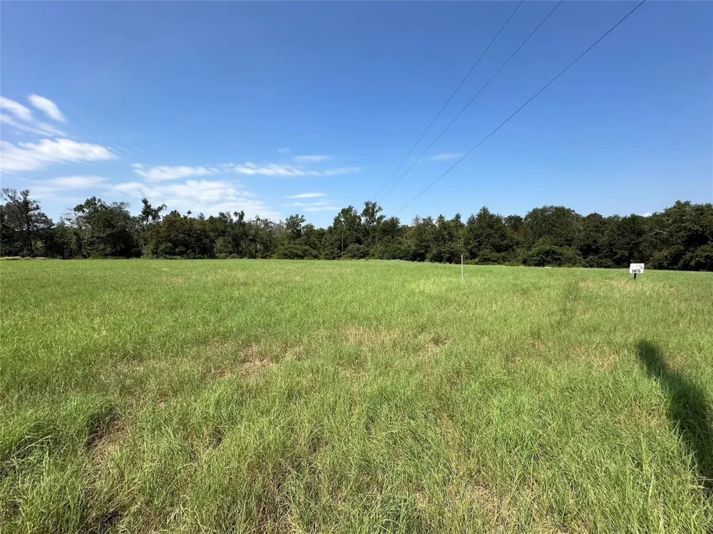 Pr 4173 Marquez, TX 77865