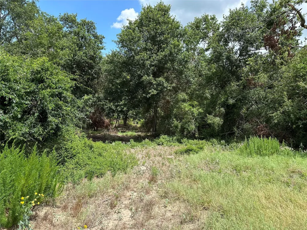 Pr 4173 Marquez, TX 77865