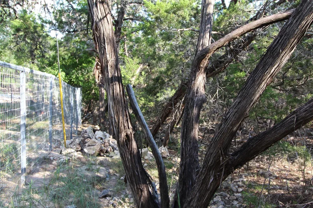 311 Big Bend Drive Canyon Lake, TX 78133