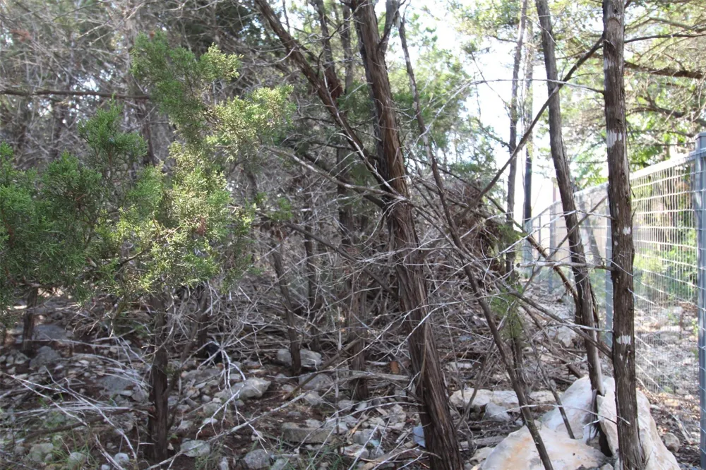 311 Big Bend Drive Canyon Lake, TX 78133