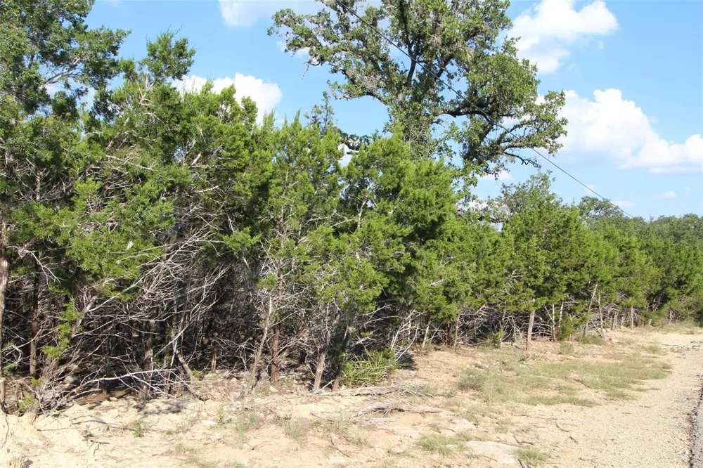 311 Big Bend Drive Canyon Lake, TX 78133