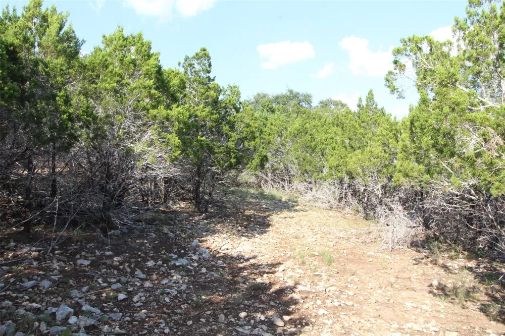 311 Big Bend Drive Canyon Lake, TX 78133