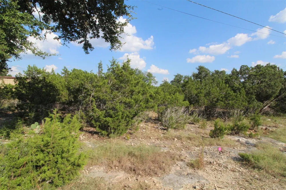 311 Big Bend Drive Canyon Lake, TX 78133