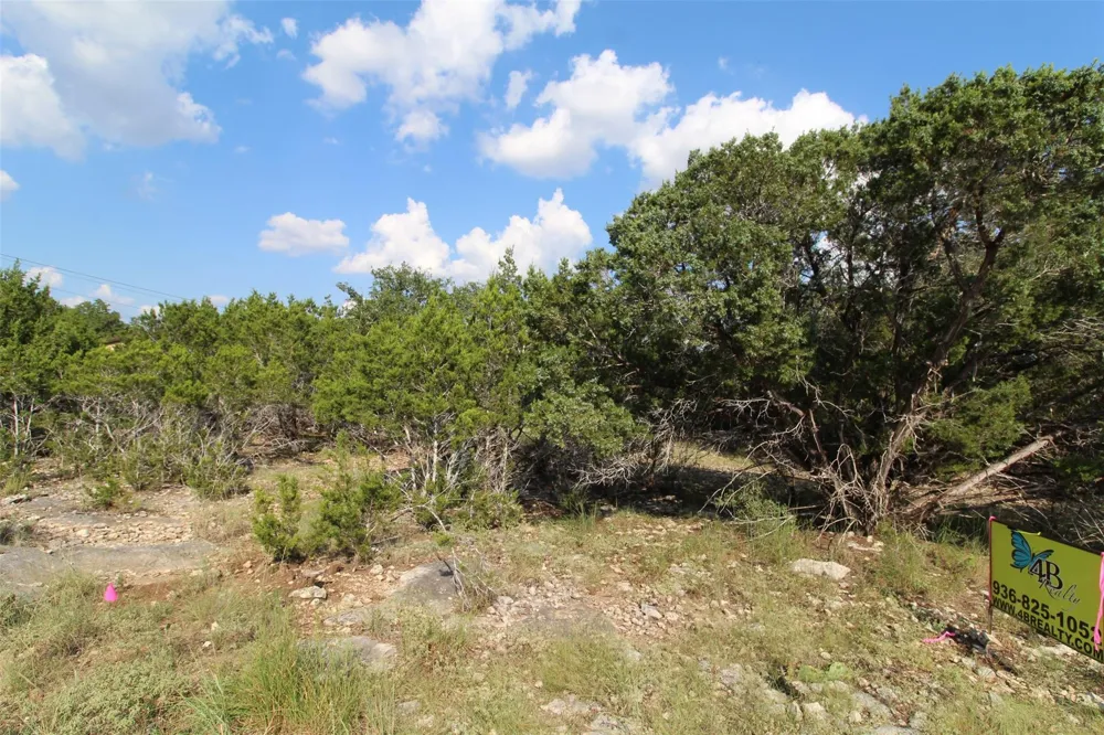 311 Big Bend Drive Canyon Lake, TX 78133