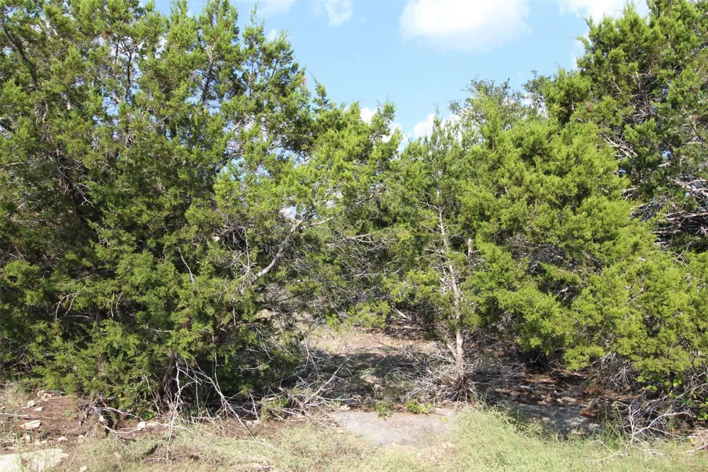 311 Big Bend Drive Canyon Lake, TX 78133