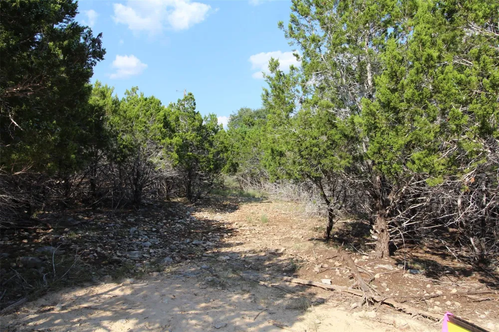 311 Big Bend Drive Canyon Lake, TX 78133