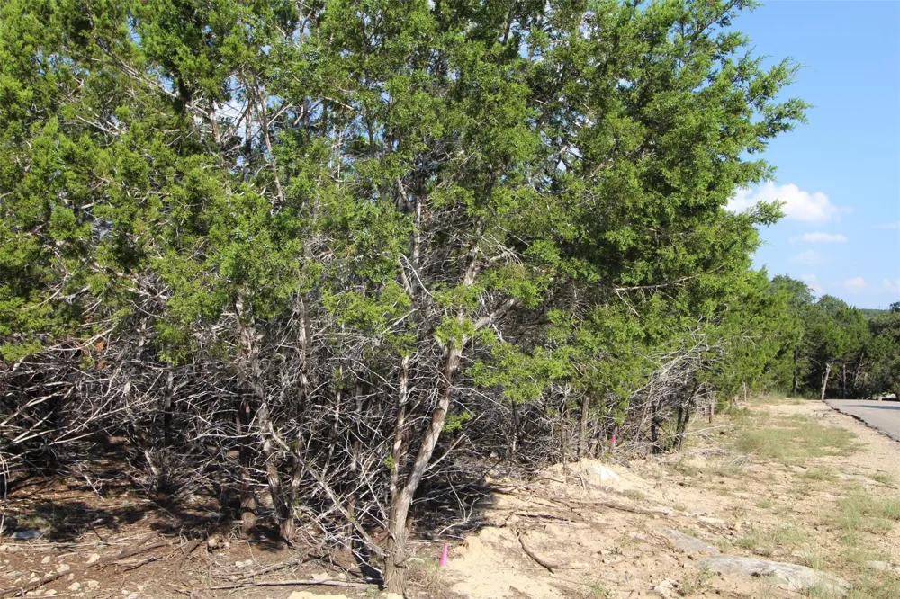 311 Big Bend Drive Canyon Lake, TX 78133